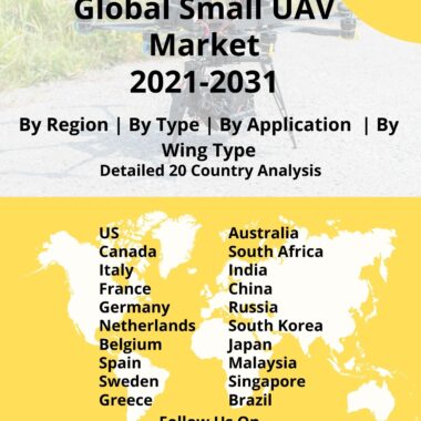 Global small UAV market